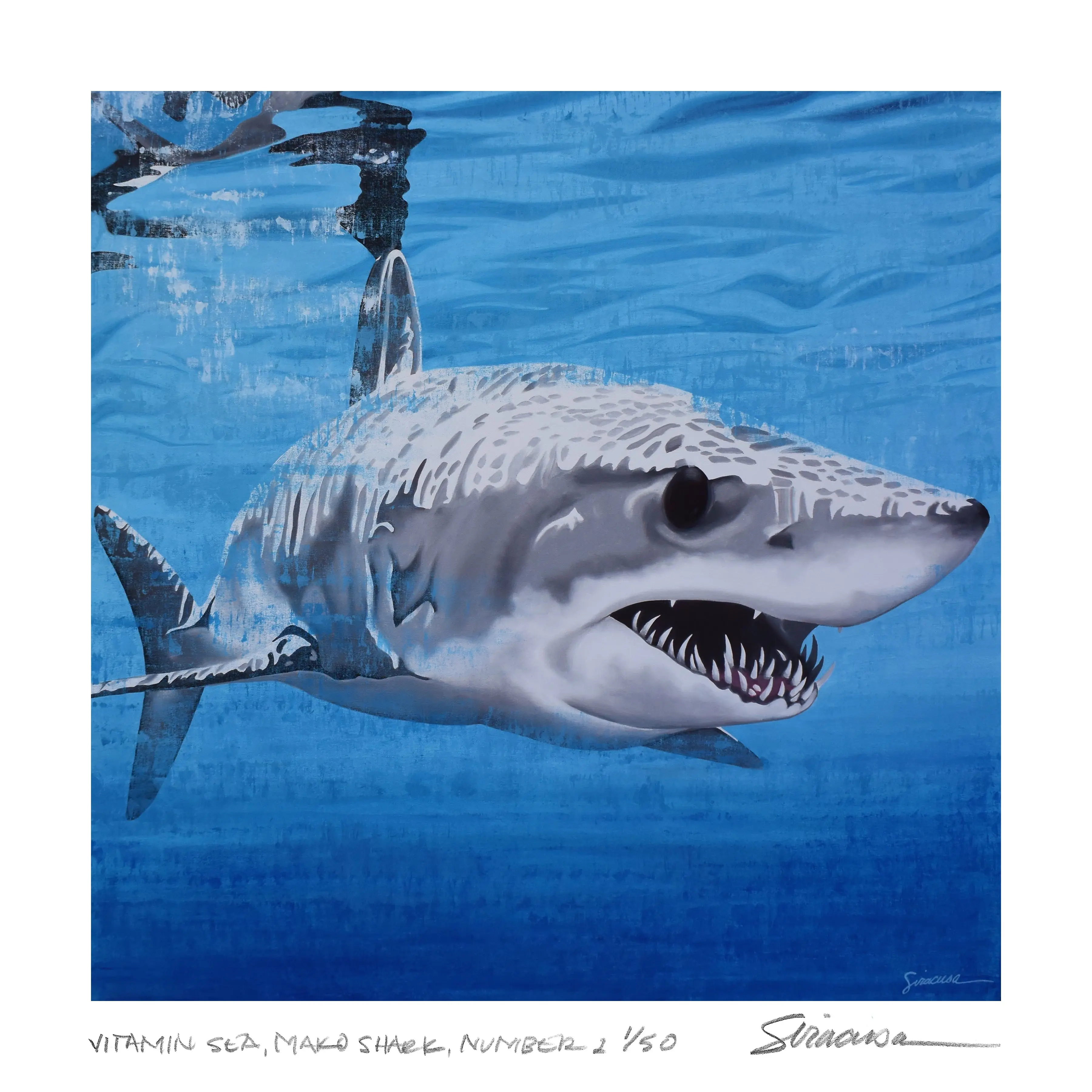 Vitamin SEA, Mako Shark, Number 1, Limited Edition Print, 12" x 12"
