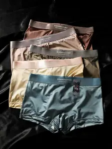 5 Pieces Biweier Satin Nylon Knitting Boxers, Morandi Color Series, Breathable Casual Women's Shorts, Cool and Comfortable Lightweight Silk Feel Fit for Home and Vacation