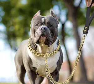 Dog/cat golden leash stainless steel 19mm cuban link leash with comfortable leather handle