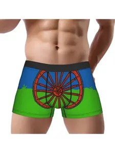 Romani Flag Men's Boxers, Roma Heritage Pride Underwear, Red Chakra Wheel Graphic Briefs