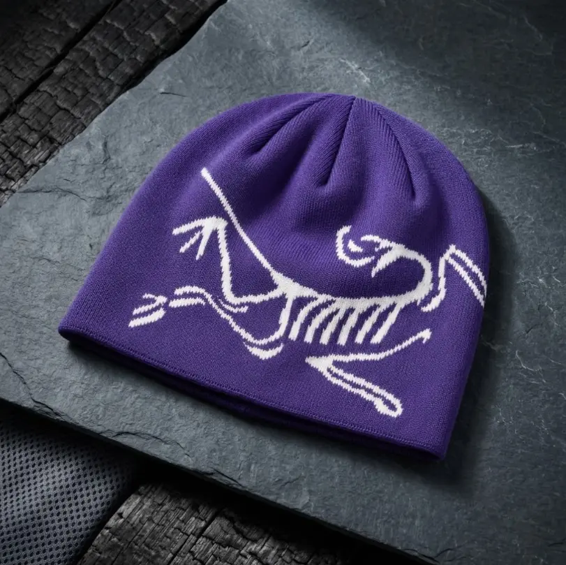 Streetwear Warm Knit Beanie Embroidered Skull Cap Unisex Winter Essential Casual Hat | Warm Knit Arcteryx Skull Cap | Winter Essential Bird Logo Beanie #winterhat #skullcap