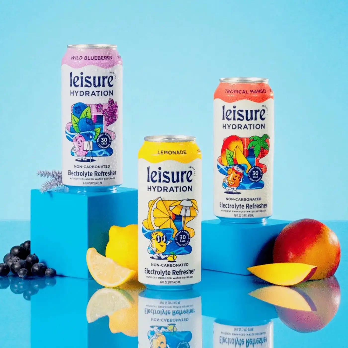 Leisure Hydration Electrolyte Drink Variety Pack - 12×16oz Cans | Delicious Low...