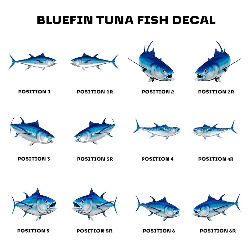 Bluefin Beautiful Fish Decal | Fishing Decal for Boat, Car, Vehicle, Truck Etc. | Waterproof Vinyl Sticker | Many Sizes & Styles Available | 12" to 40" by Digital Fish Art