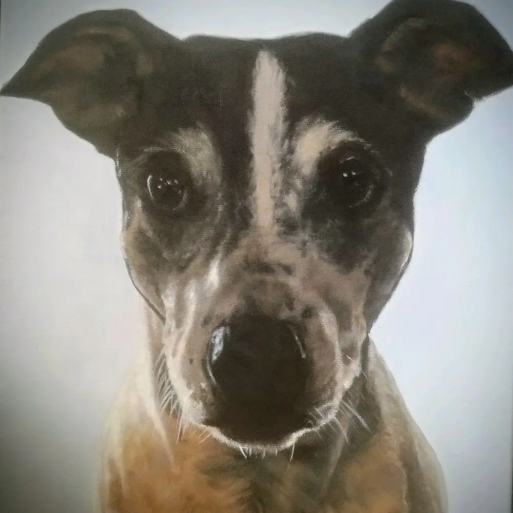 Custom Pet Portraits & Small Original Commissions (Oil or Acrylic Painting)