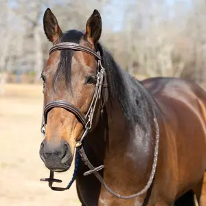 Jeffers Uniquely English "Hampton" Leather Hunter Bridle with Laced Reins for Horses