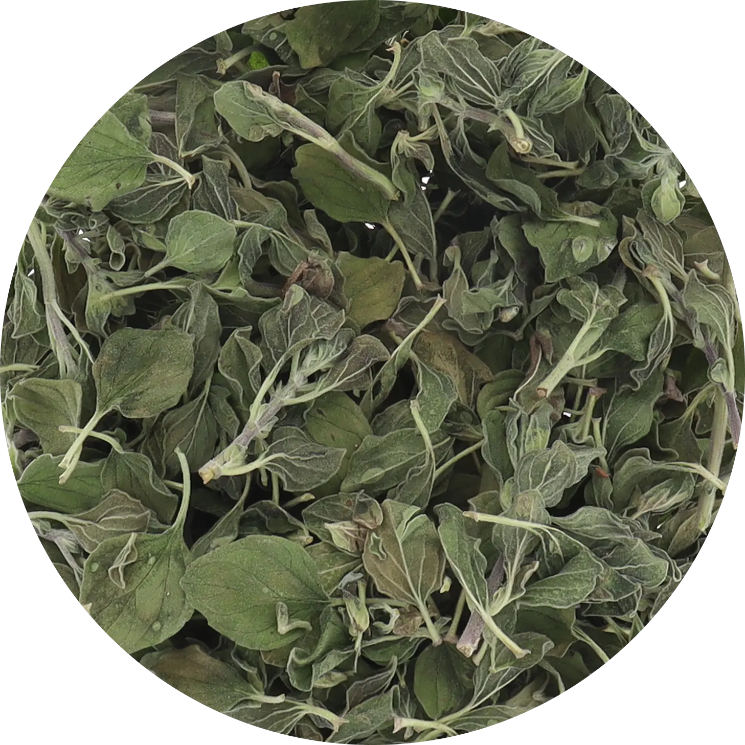 Freeze Dried Oregano Freeze Dried Oregano