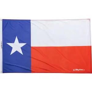 Texas Flag
