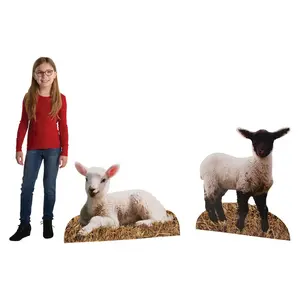 23 1/4" - 32 1/2" Lamb Cardboard Animal Cutout Stand-Ups - 2 Pc.