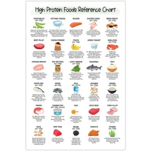 12x18" Protein Reference Food List Poster Unframed, Low Carb Meal Plan, Keto Diet, Weight Loss, Plant-based, Healthy Eating Guide, Nutrition Healthy Fit (High Protein Food List)