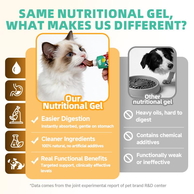 Hegenpet Concentrated Energy Supplement Paste (4Flavors) Premium Nutritional Gel for Picky Eaters - BoostImmunity & Vitality for Dogs & Cats