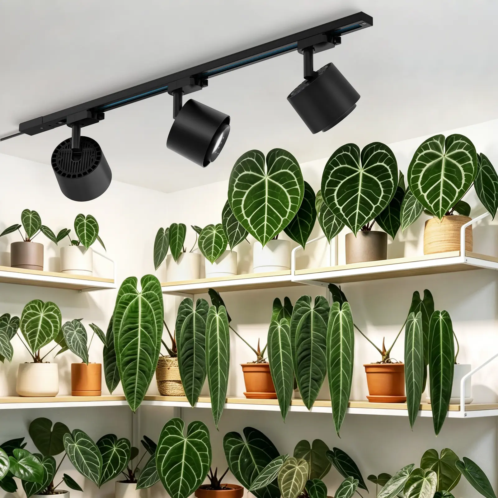 Barrina TR40c Track Grow Light System for Indoor Plants, 3 x 40W Heads, 5000K Full Spectrum Ceiling Grow Spotlight with 15°-60° Adjustable Beam Angle for Greenhouse with Timer, Black H-Type Rail