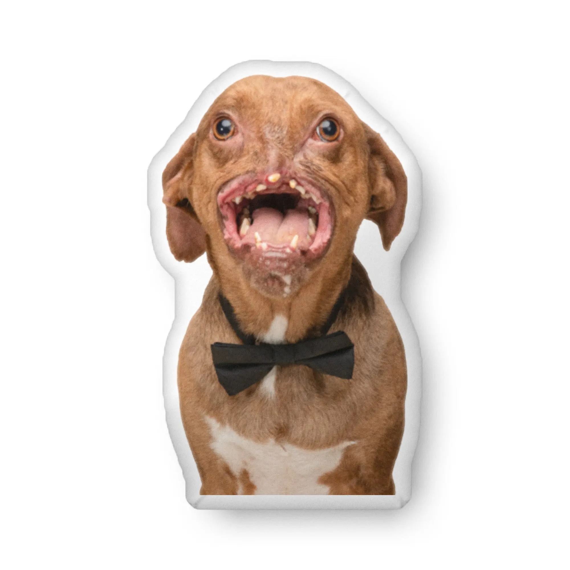 Newt the Noseless Contour Pillow