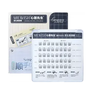 MR.WISH Pre-made Wisps Eyelashes - 40 Clusters/Box, Natural Look, No Glue Needed, Short & Light Volume for Subtle Beauty