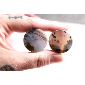 Dendritic Agate Double Flare Stone Plugs – Rare Natural Agate Gauges - Pick Your Pair