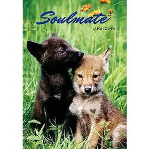 USED-Soulmate by Owen, Jason (Paperback)