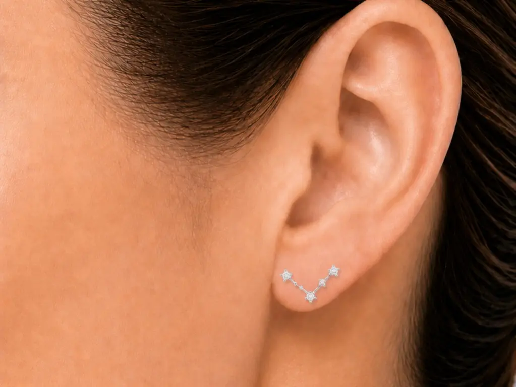 925 Sterling Silver Pisces Stud Earrings (1 Pair)