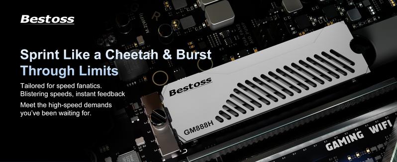 Bestoss GM888 H Gaming SSD with Heatsink up to 7300mb/s NVMe M.2 PCIe Gen4 Internal Solid State Drive  for PS5 1TB-4TB Storage for PC