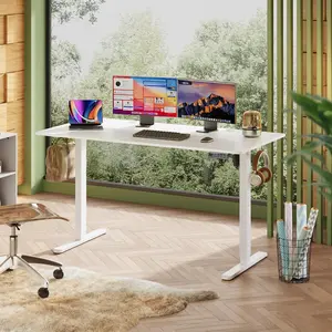 Whole Piece Desktop, 55" x 28" Electric Standing Desk, Adjustable Height Computer Desk, 3 Height Memory Settings, Sit Stand Up Desk for Home Office, White