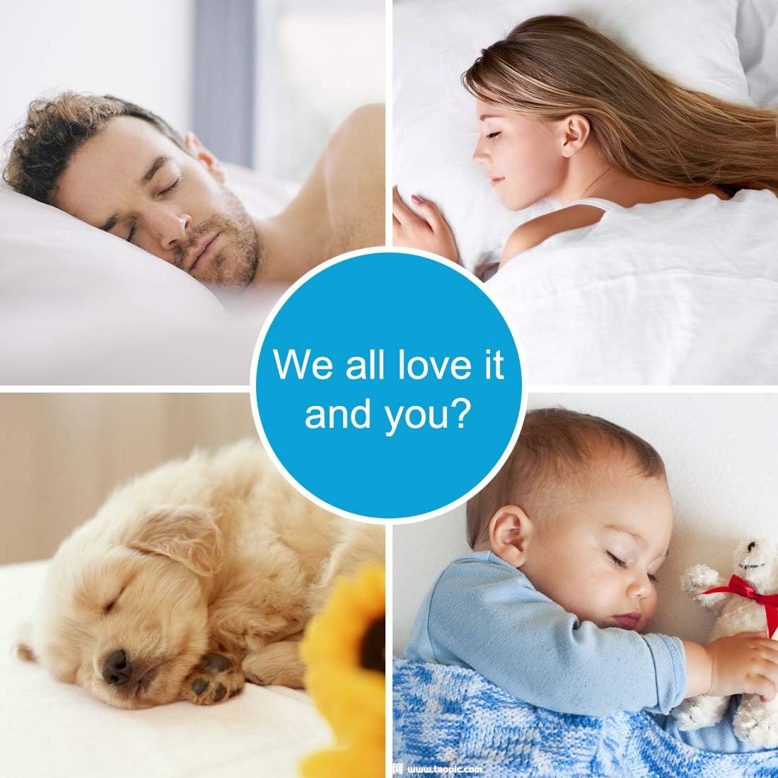 EASELAND Pillow Top Mattress Topper – Quilted Fitted Cover, Cotton Top, Extra Thick Mattress Pad with 8-21" Deep Pocket, Breathable & Machine Washable, Ideal for Bedroom & Home