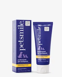 Professional Pet Toothpaste - London Broil Flavor - Small
