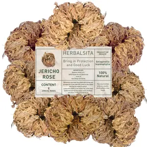 8 Pack Large Rosa de Jericó (Resurrection Plant) 2.5’’–3.5’’, Premium Jericho Flower Set, Natural Dried Decorative Botanical Plants for Home Decor, Bowls, Centerpieces and Traditional Display Use