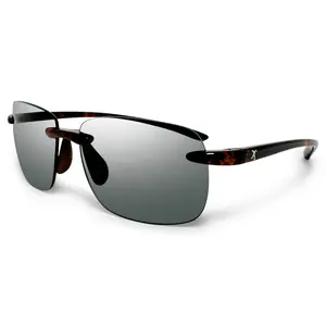 Argos Tortoise Sunglasses with Dark Smoke Lens