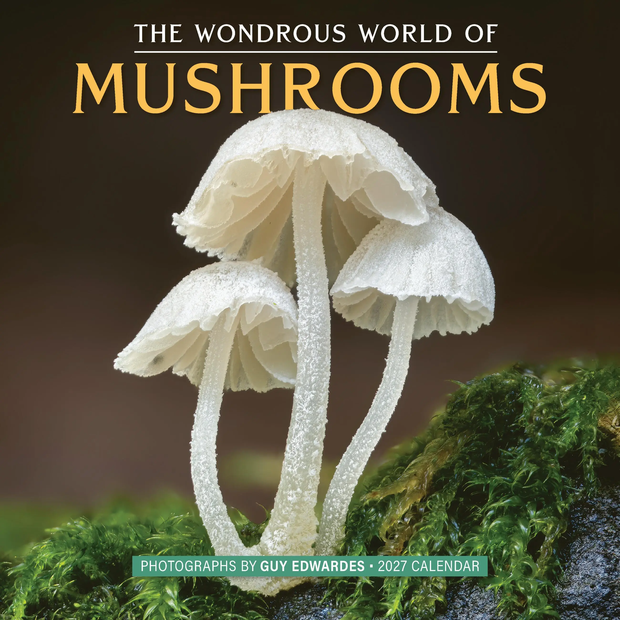The Wondrous World of Mushrooms Wall Calendar 2027 by Guy Edwardes, Workman Calendars