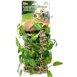 Reptology Lizard Lounger Coconut Climber with Vines for Reptiles