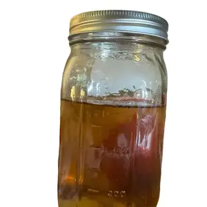 Liquid culture 600ml