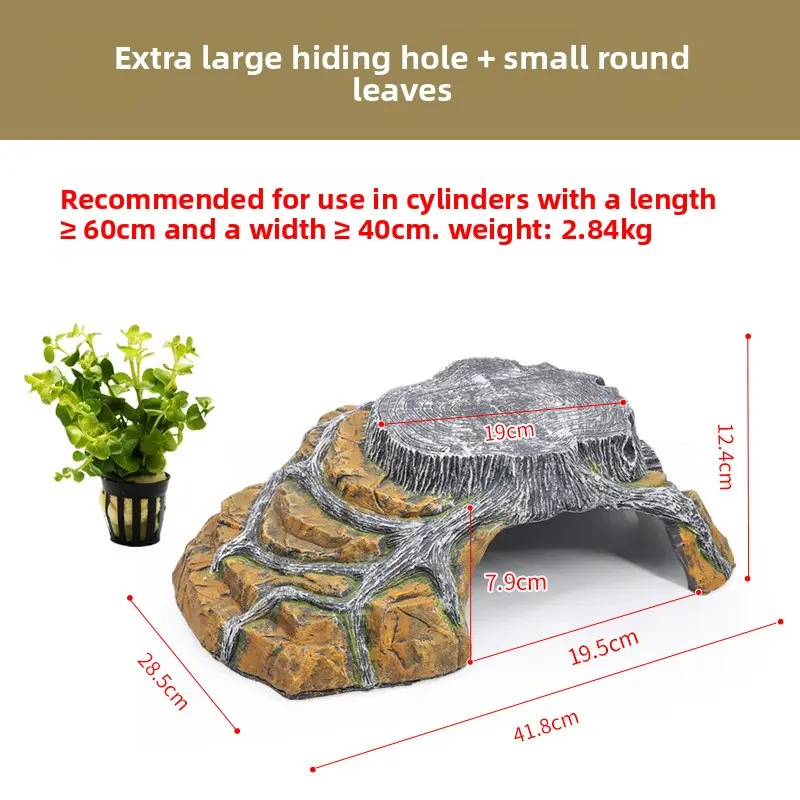 [Sun Platform] Extra Large + Small Round Leaf Aqua