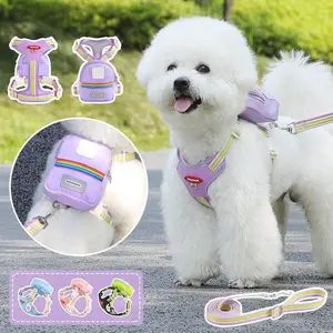 Dog Walking Set 3-Piece, Dog Harness, Bag, No Tangle Leash, Breathable Lightweight Vest, Safety Buckle, Suitable for Small Dogs and Cats