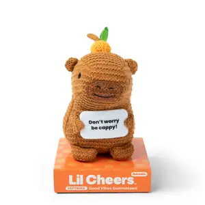 Lil Cheers Capybara Crochet Plush with Motivational Sign - Uplifting Desk & Dorm Room Decor, Non Candy Easter Gift