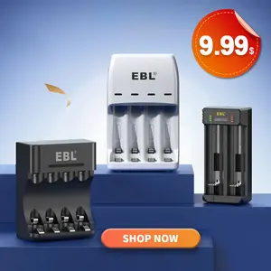 EBL Individual NiMH/Lithium Rechargeable Batteries Charger