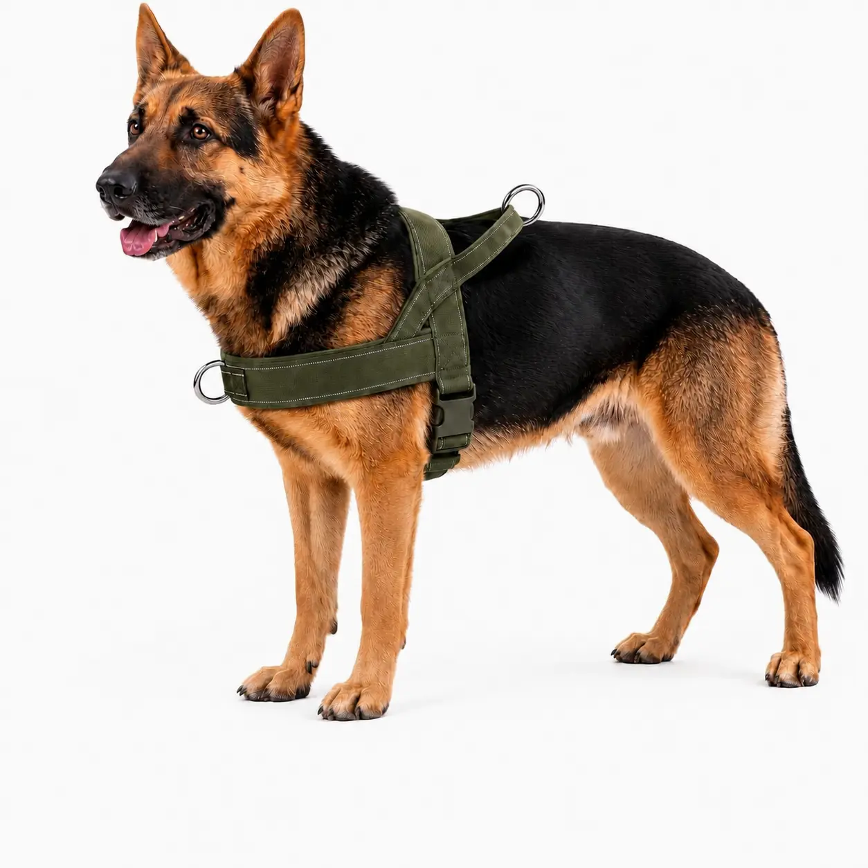 Nylon Fabric Universal Dog Harness - Multi-Size, No-Pull, Easy-to-Fit Design, Safe Fit, Chafe-Resistant Adjustable Straps, Dual Rings for Small, Medium, Large Dogs, Universal Harness