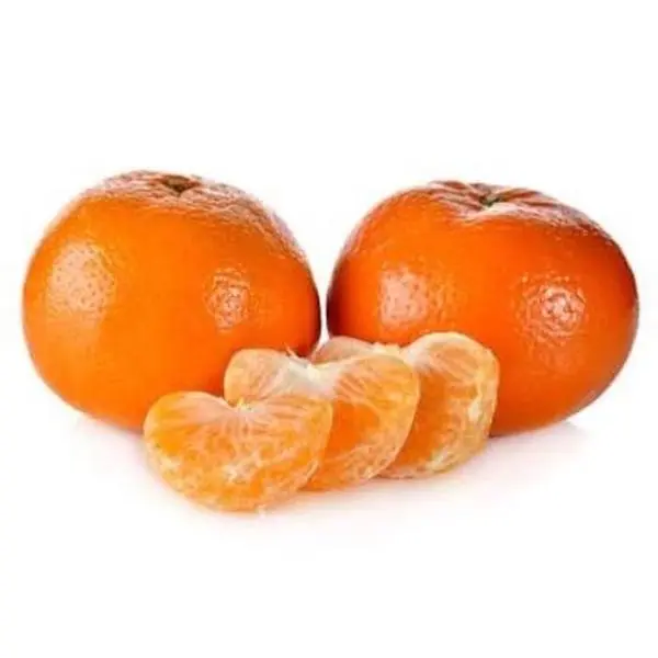 Grafted Honey Murcott Tangerine Tree - 3-4 ft Tall, 3-Gal Pot, Florida-Only Live Outdoor Fruit Tree for Home Garden Supplies