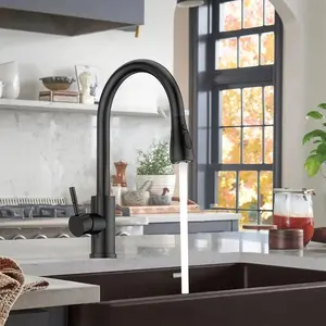Kitchen Sink Faucet, Single Hole Kitchen Faucet with Pull Out Sprayer, Kitchen Sink Faucet with Stainless Steel Hose, Kitchen Fixtures