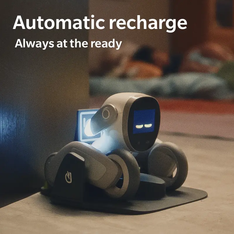Loona Robot Premium Bundle (Charging Dock Included); Companion