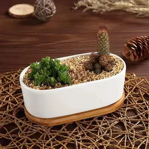 Minimalist White Ceramic Pot with Bamboo Tray for Succulents