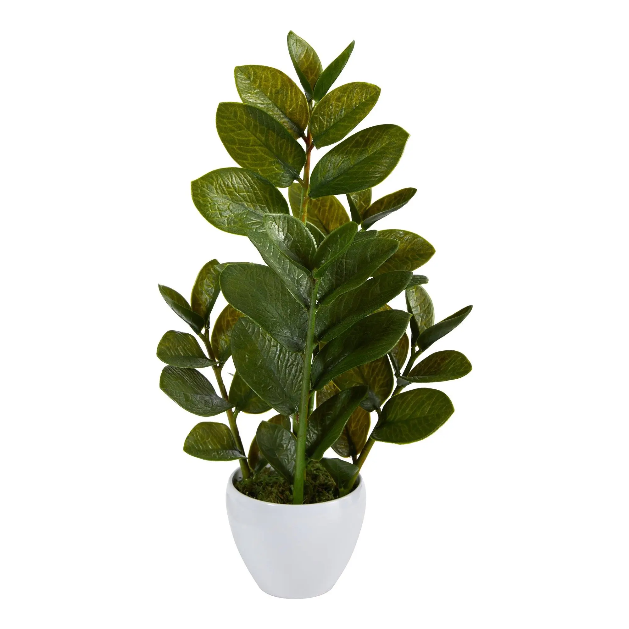 22-in Compact Artificial ZZ Plant with White Planter - Plant Decor for Office Accent, Home Kitchen & Bathroom Tabletop (Home Supplies Decorative Piece)