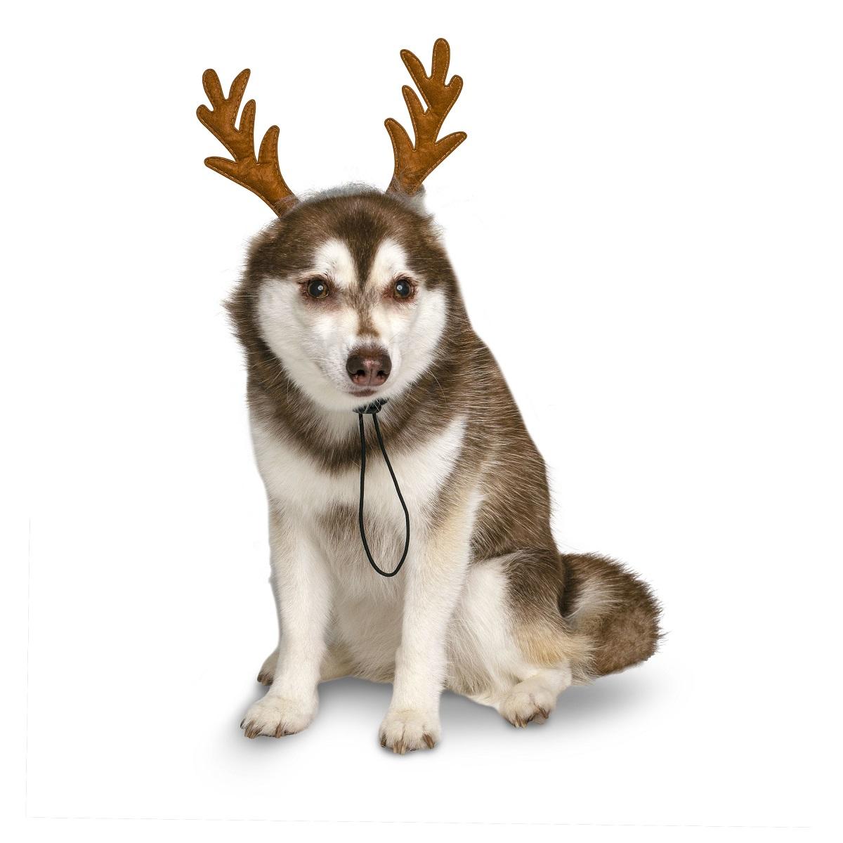 Midlee Furry Antlers Dog Headband – Festive Reindeer Costume for Medium to Large Dogs Adjustable Chin Strap Christmas Accessory