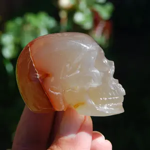 2in Carnelian Agate Crystal Skull
