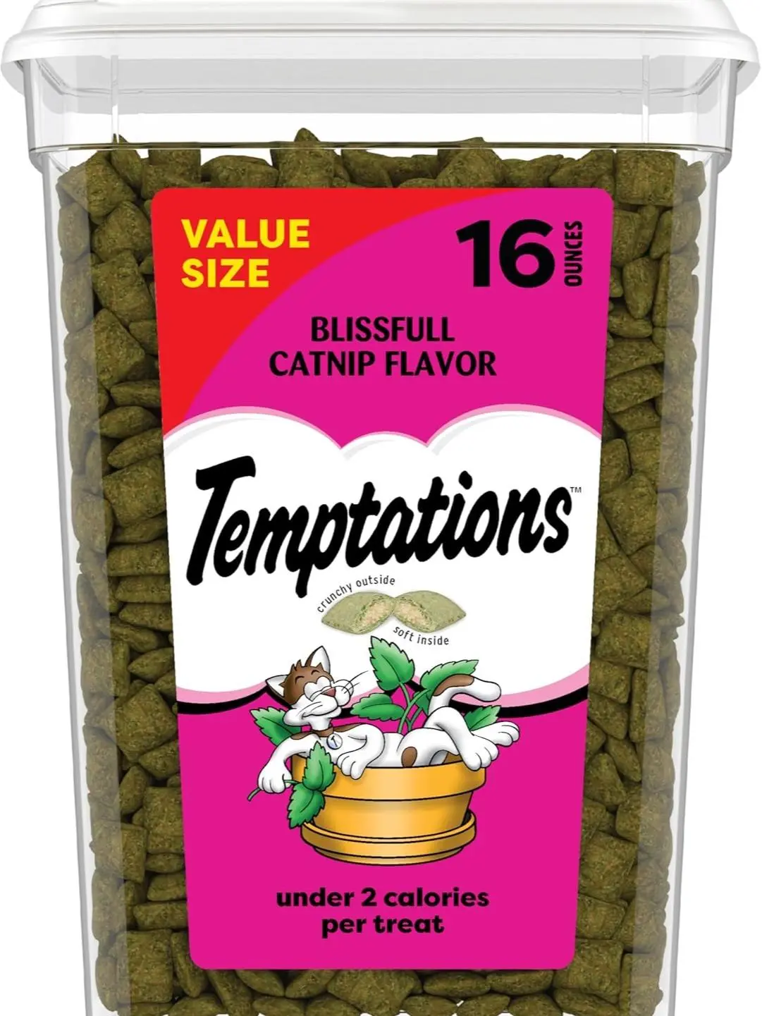 Temptations Dual Texture Cat Treats Blissful Catnip Flavor Crunchy and Soft Style 16 Ounce Container Snack Reward