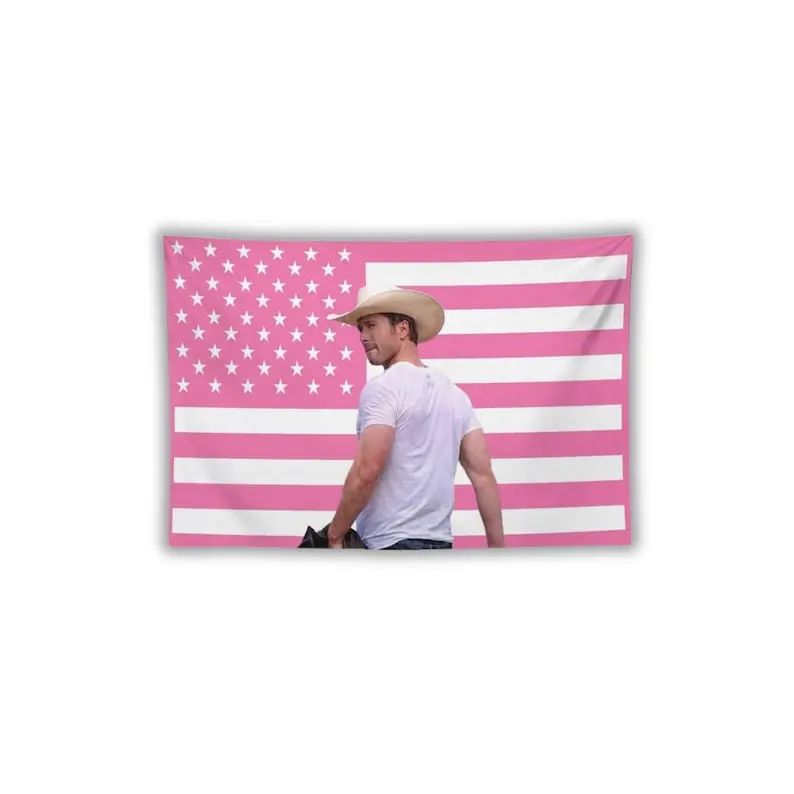 Glen Powell Pink Flag - Tapestry - Funny Flag - for Dorm -  Pink Flag - Pink American Flag - Tapestry -  Photo Flag - Pink Dorm Decor - Gift For Him - Gift For Her - Gift For Fan