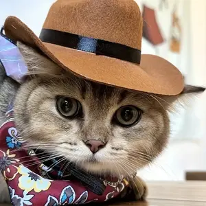 Cute Pet Hat Cosplay Cat Decoration Cap, Dog Western Cowboy Hat Photo Accessory, Cat Cowboy Costume Hat, Mini Dog Western Cowboy Hat