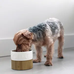 Ceramic Cat Bowl with Neck Support, Dual Bowl Design for Dogs & Cats, Universal Stand Suitable for Medium & Small Pets