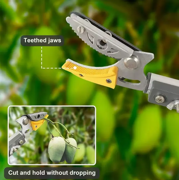 3 Speed Pole Pruner, Extendable Tree Trimmer with Saw Blade, Multi-Purpose Long Handle Branch Cutter for Orchard Garden, Fruit Picking Tool