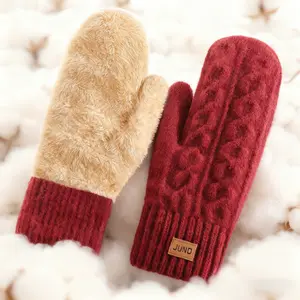 1pc Women's Winter Double-Layer Fleece-Lined Thick Warm Mittens, Knitted Cable Knit Pattern, Warm and Stylish Mittens for Cold Weather, Suitable for Everyday Use and Party Wear, for Women and Men