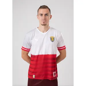 Ronaldinho Poland Jersey/Camisa