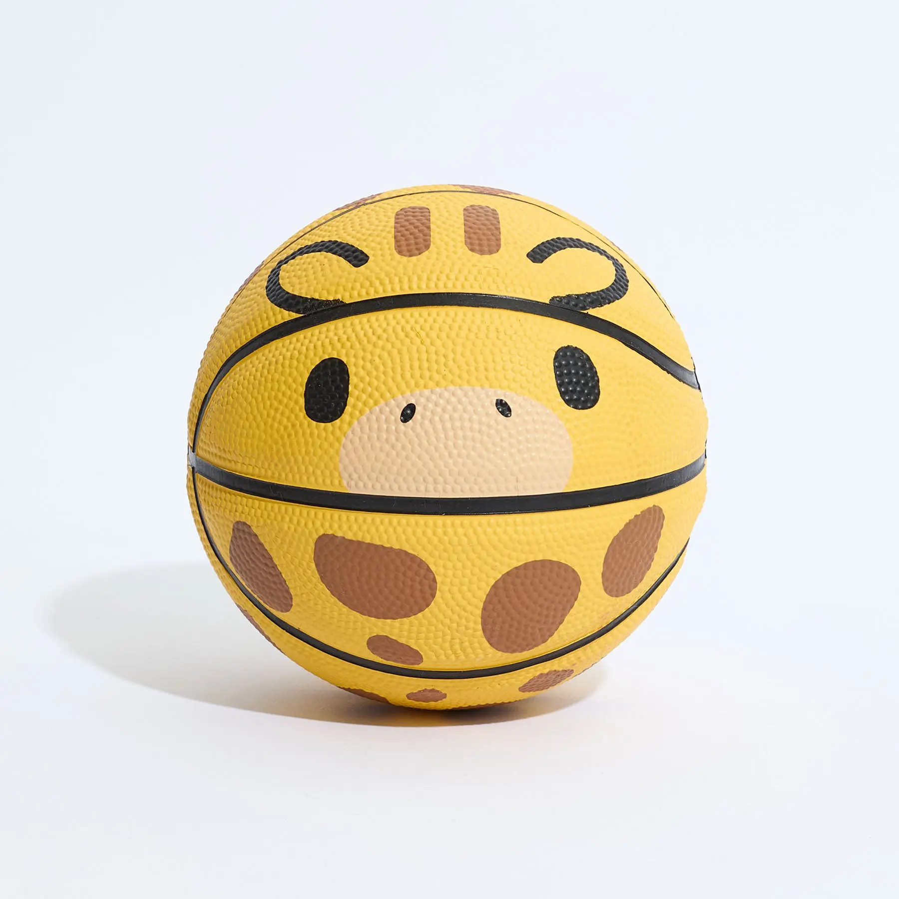 Geoff Mini Basketball