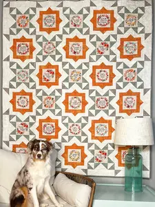 Fussy Frames Quilt Pattern - Paper Print Version